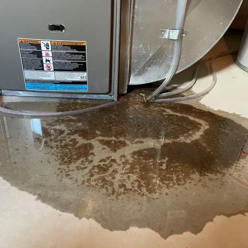 Appliance Leak Cleanup in Montrose, MI